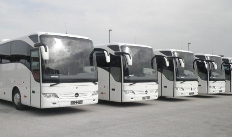 Bourgogne-Franche-Comté: Bus company in Dijon in Dijon and France