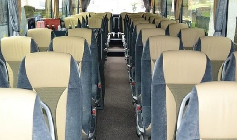 France: Coach operator in Bourgogne-Franche-Comté in Bourgogne-Franche-Comté and Chalon-sur-Saône